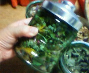 c0203121_3313973.jpg