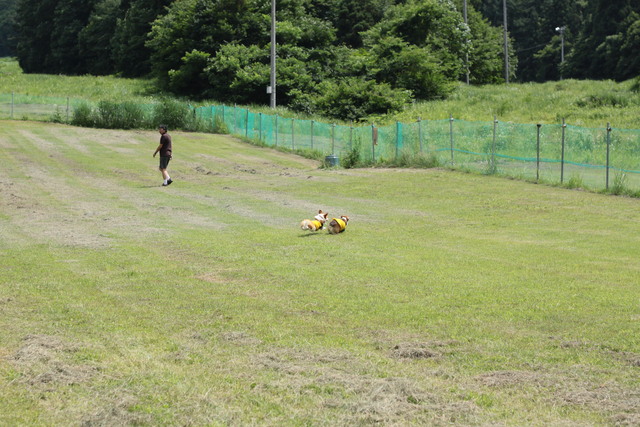 白馬・安曇野へ行ってきます！_e0071225_124468.jpg