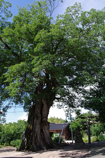 f0007926_9123188.jpg