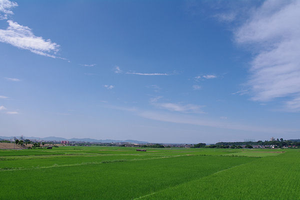 f0007926_93593.jpg