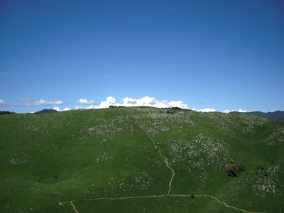 d0075329_2334599.jpg