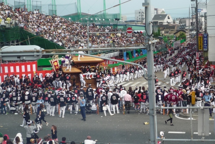 祇園だんじり祭り dsこらむ 祇園だんじり祭り dsこらむ