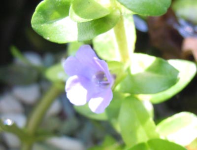 e0097534_16282334.jpg