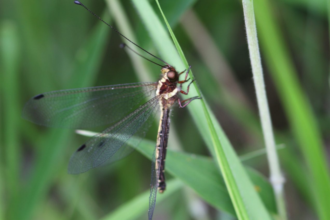 c0172139_23402941.jpg