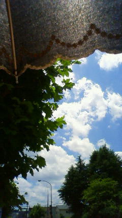 b0074746_125451100.jpg