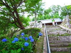 a0202251_1958227.jpg