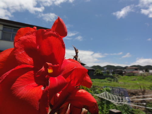 c0108460_1713990.jpg