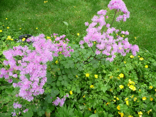 f0056261_123123.jpg