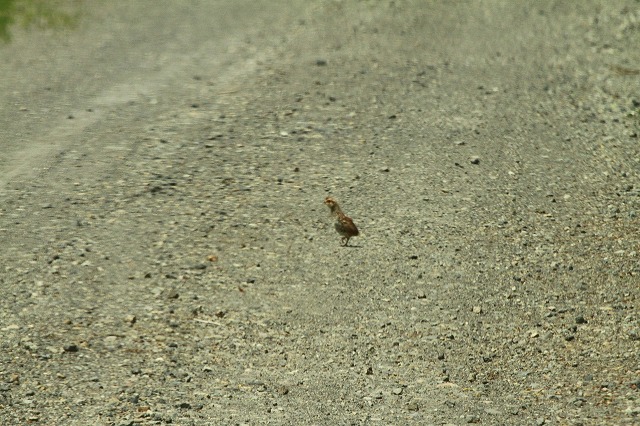 f0000866_7214062.jpg