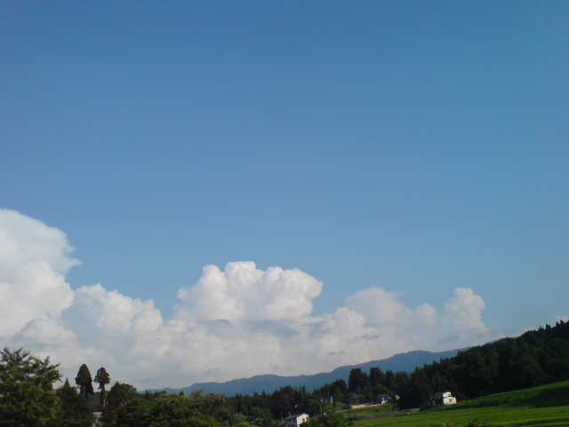 夏のお漬物「茄子漬け」。_d0182179_21513624.jpg