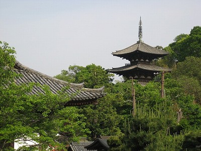 c0229483_2012361.jpg