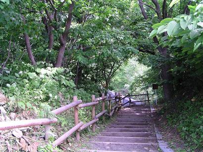 福井堰堤_f0078286_96384.jpg