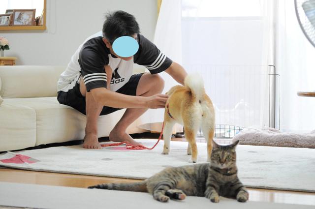 おはよう!_a0126590_55805.jpg