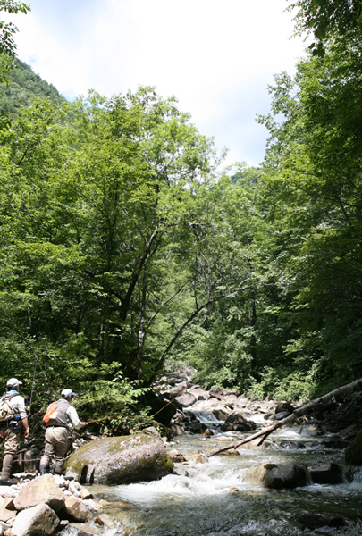 f0166390_22224252.jpg