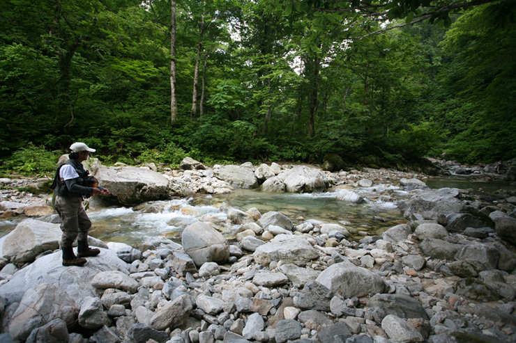 f0166390_22242930.jpg