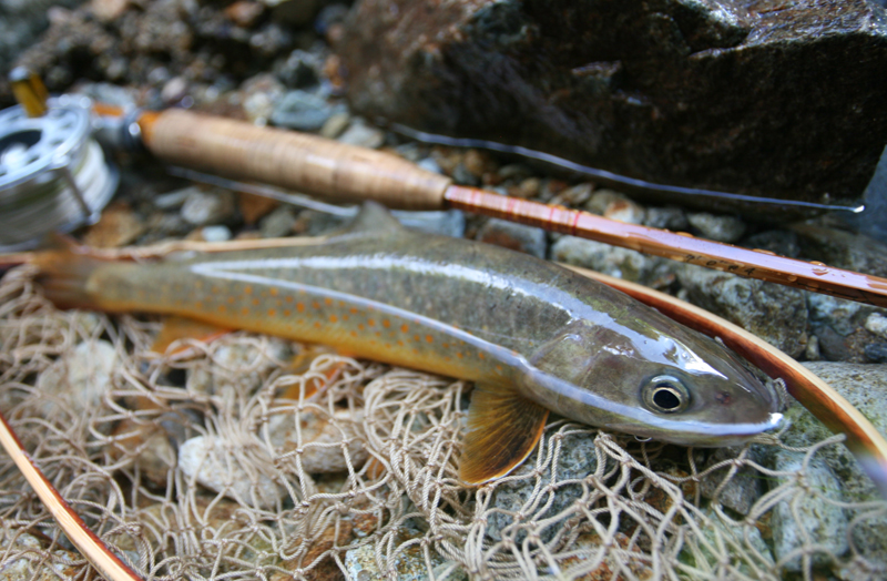 f0166390_2225665.jpg