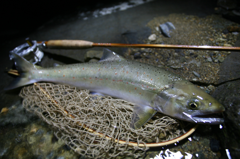 f0166390_222932.jpg
