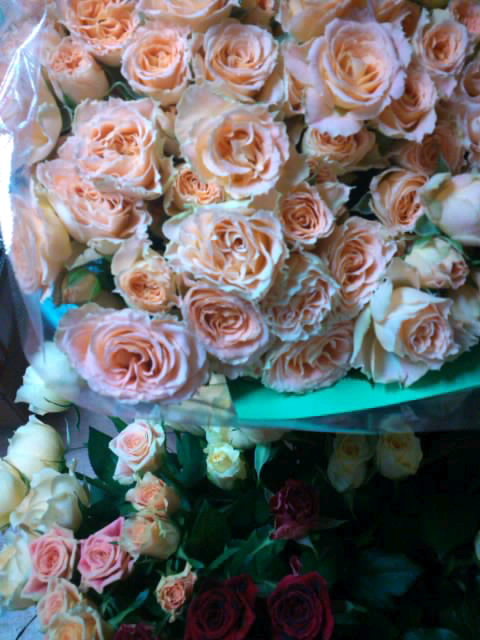 f0223290_23381325.jpg