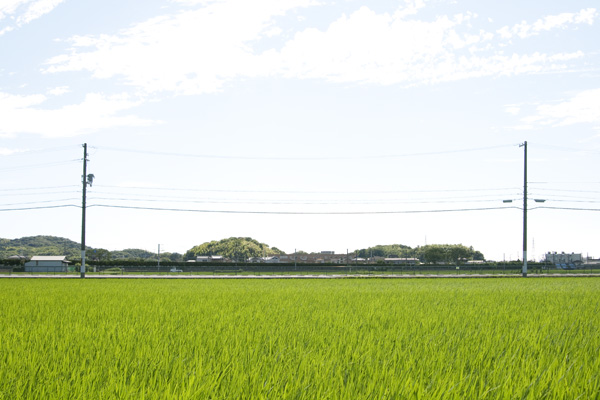 写真部　和歌山電鐵　その２.電車以外_f0239107_13105467.jpg