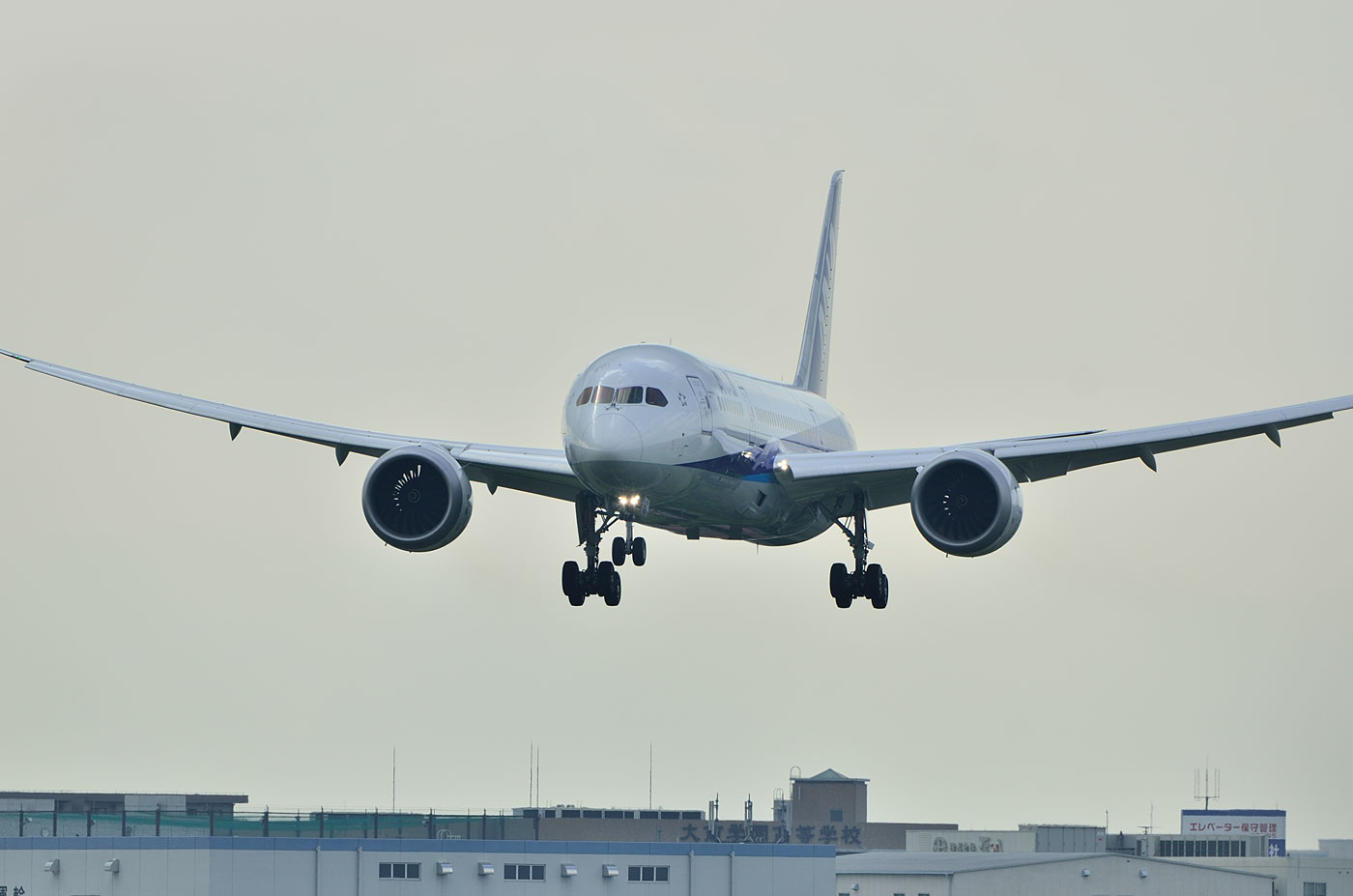 BOEING 787-8 / N787EX - in 伊丹空港 - (その1・B787着陸 BOEING 787-8 / N787EX - in 伊丹空港 - (その1・B787着陸
