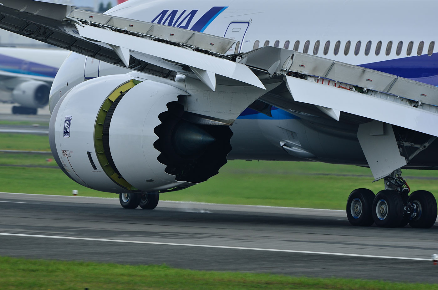 B787-8 ジャンク品 1/200 B787-8 ANA SpecialMarking JA801A ＊外箱欠品 ［XX2849