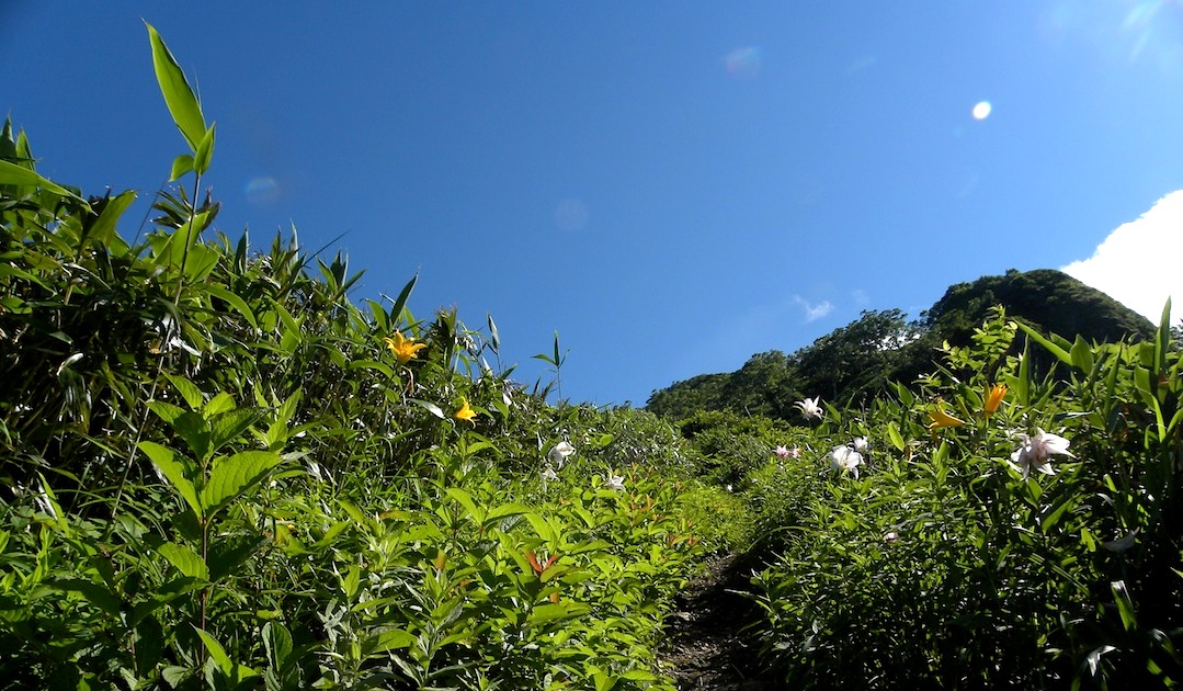 c0078410_8454627.jpg