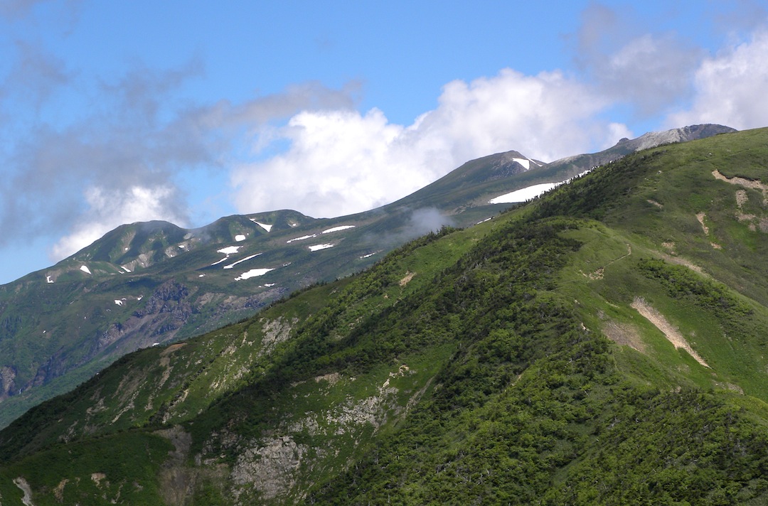 c0078410_849282.jpg