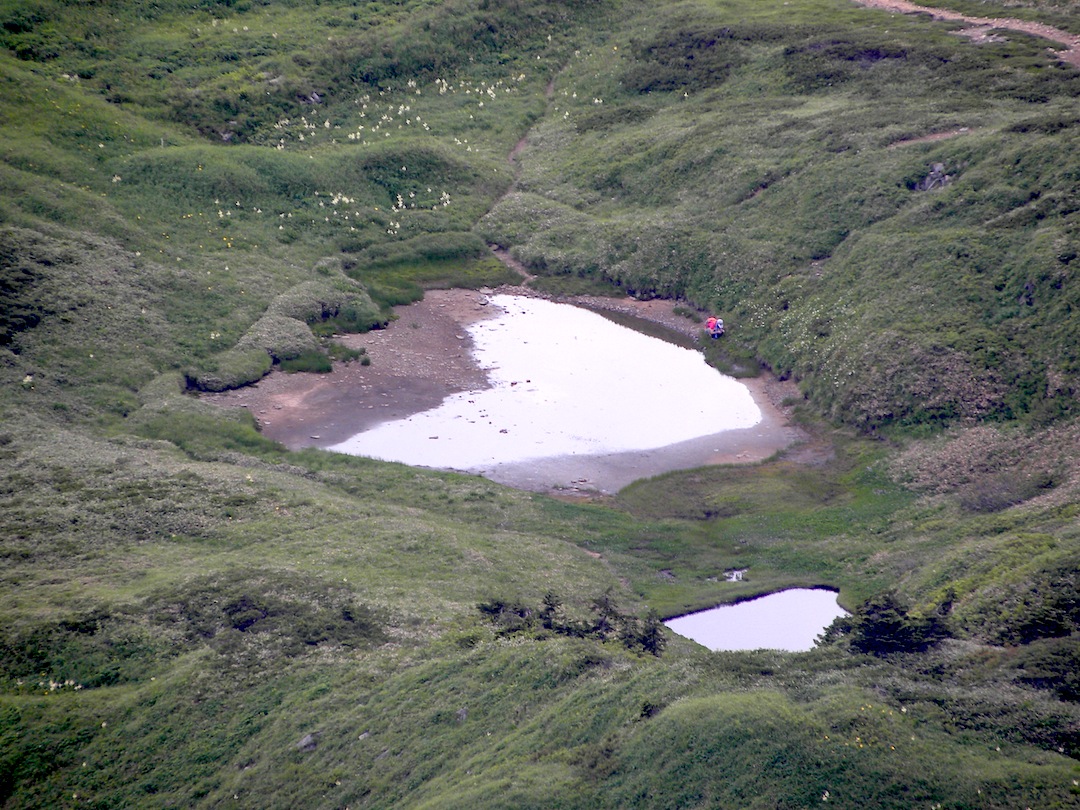 c0078410_8574016.jpg