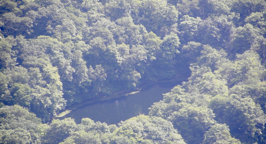 c0078410_8591532.jpg
