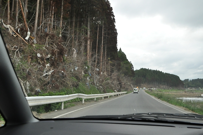 かーちゃのお墓が倒れてた話_b0067012_15205594.jpg