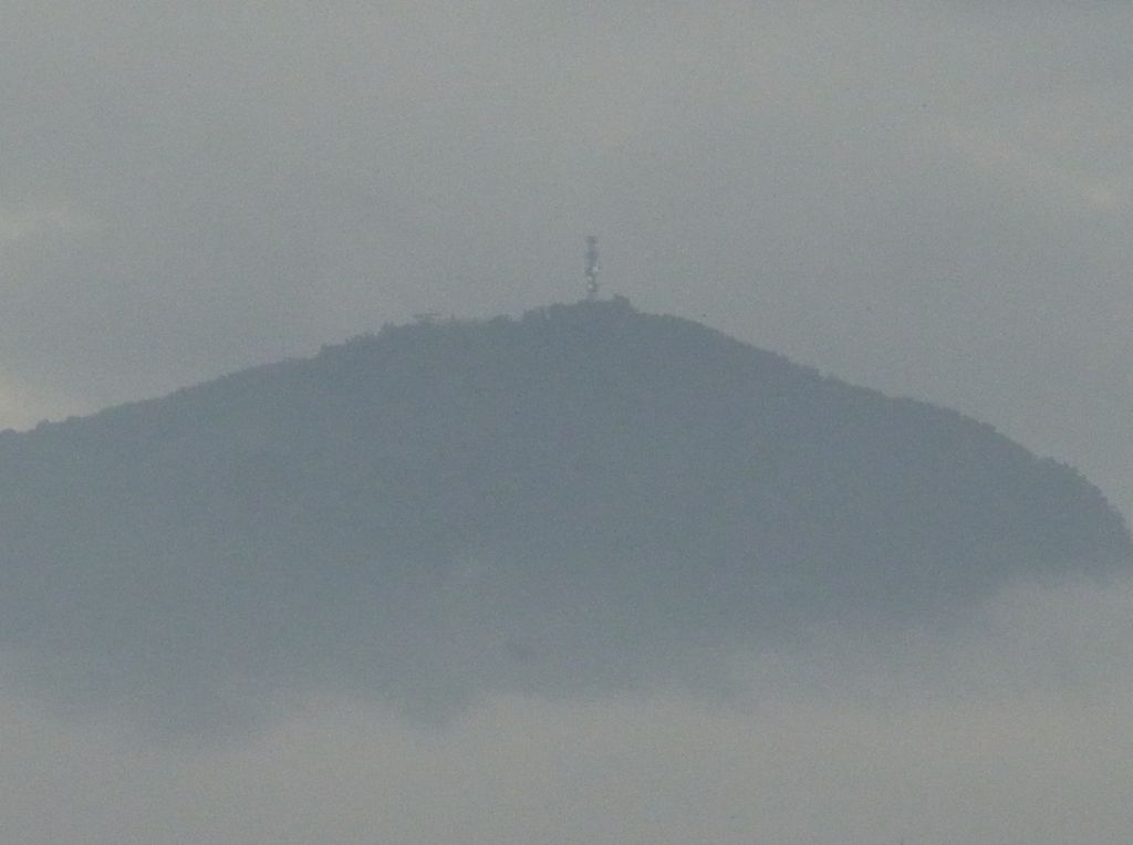 雲海に浮かぶ藻岩山_c0025115_19463331.jpg