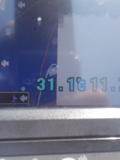 7月14日木曜日。_e0100021_227486.jpg