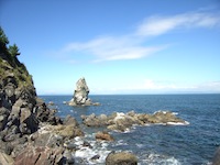 f0147922_529436.jpg