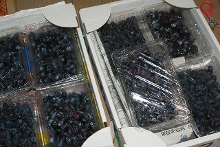 f0170524_8311889.jpg