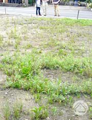 ∵出逢うということ_d0040733_1503684.jpg