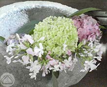 ∵雨上がりの“おくど市”_d0040733_3383556.jpg