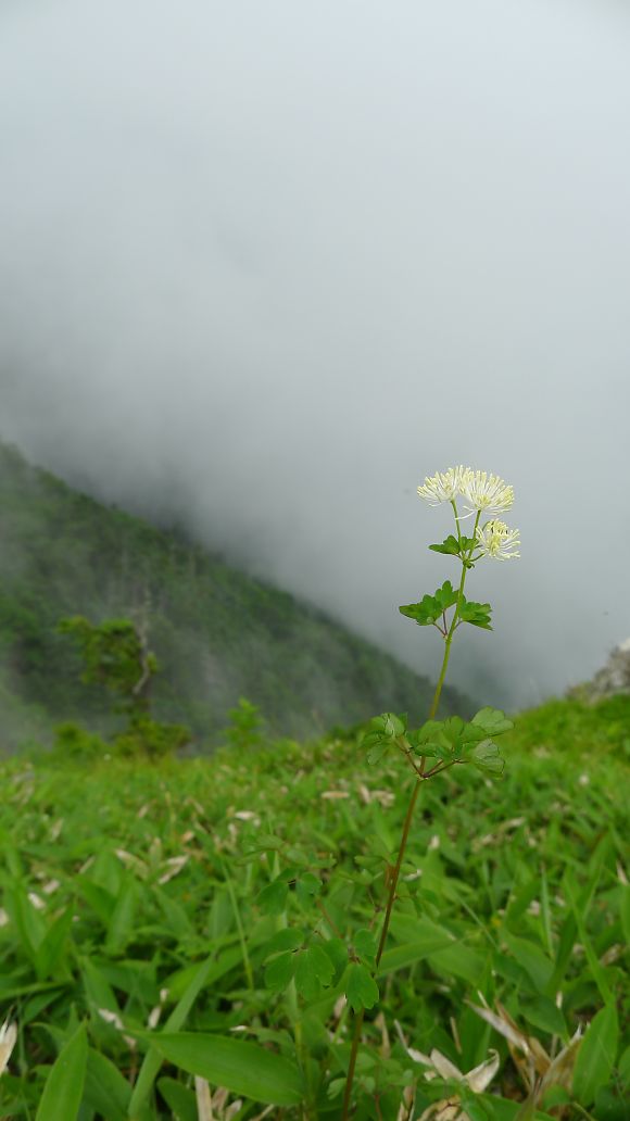 いぶし銀の魅力：日光太郎山_c0008948_5184.jpg