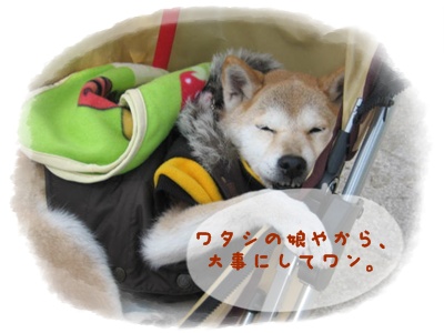 そしてついに_c0049950_21353935.jpg