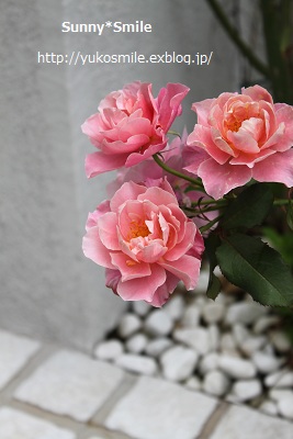 c0178855_2317960.jpg