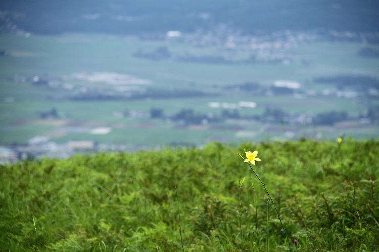 足湯でまったり　　阿蘇は夏の装い_b0123359_20534969.jpg