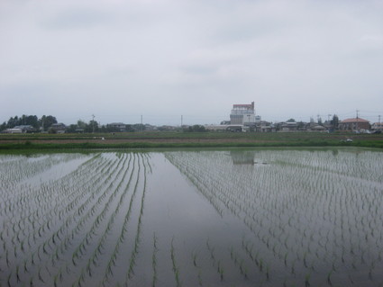 企画「大田原をもっと知ろう!」・・・その10、浅香③。_b0063162_2145522.jpg