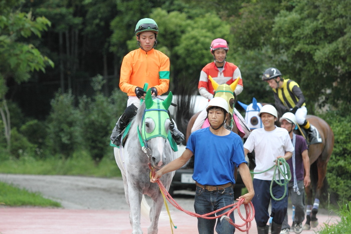 2011年6月25日（土） 高知競馬 5R C3-3_a0077663_66849.jpg