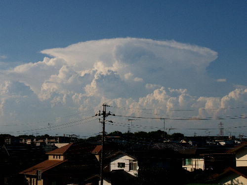 f0208666_1423509.jpg