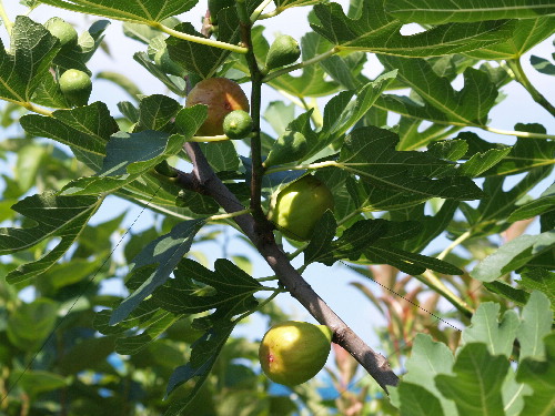 f0208666_14342134.jpg