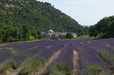 f0138768_85213.jpg
