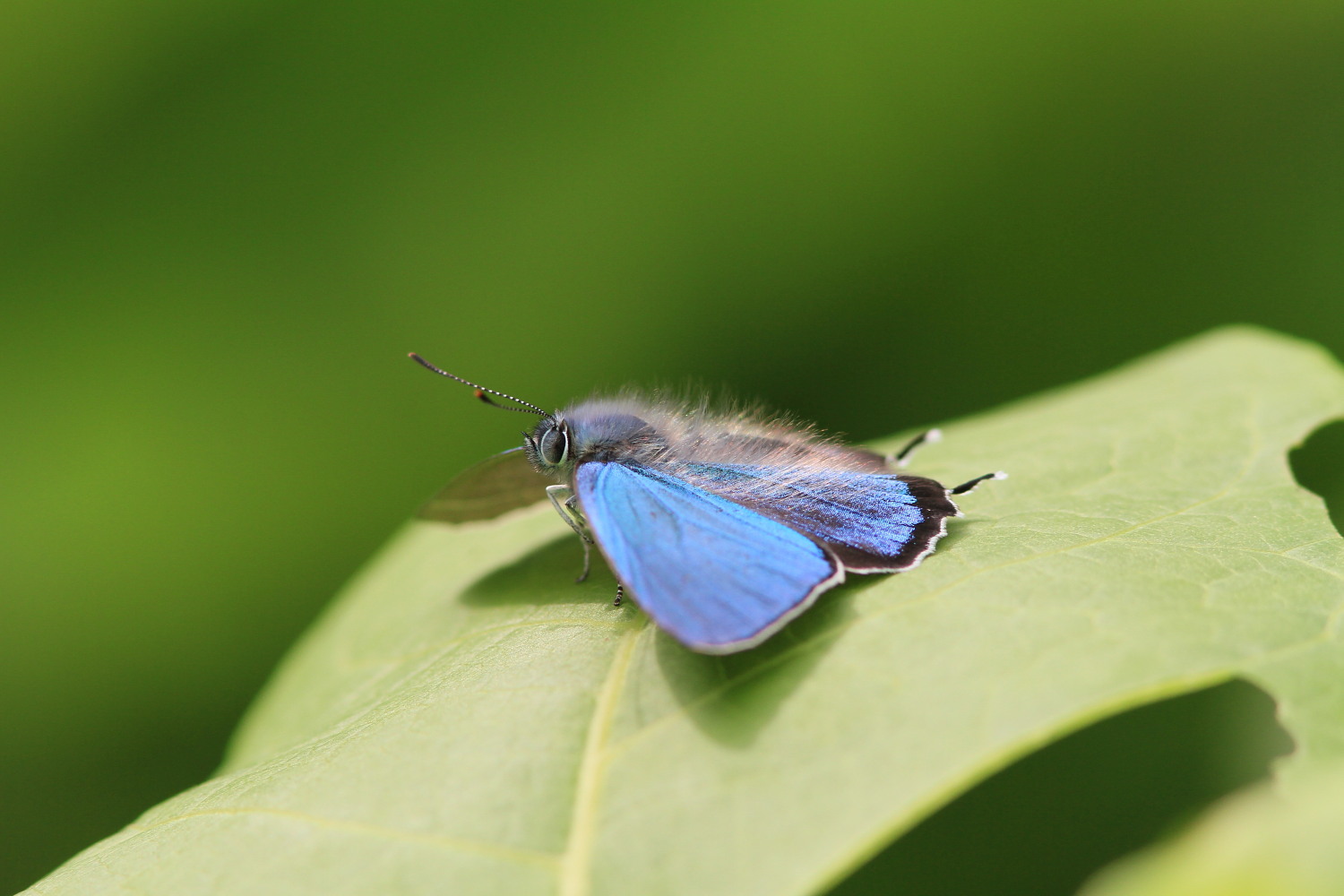 a0146869_59435.jpg