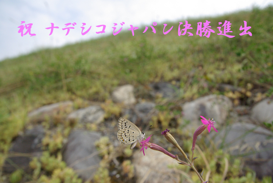 国蝶の舞う谷_e0167571_5505098.jpg