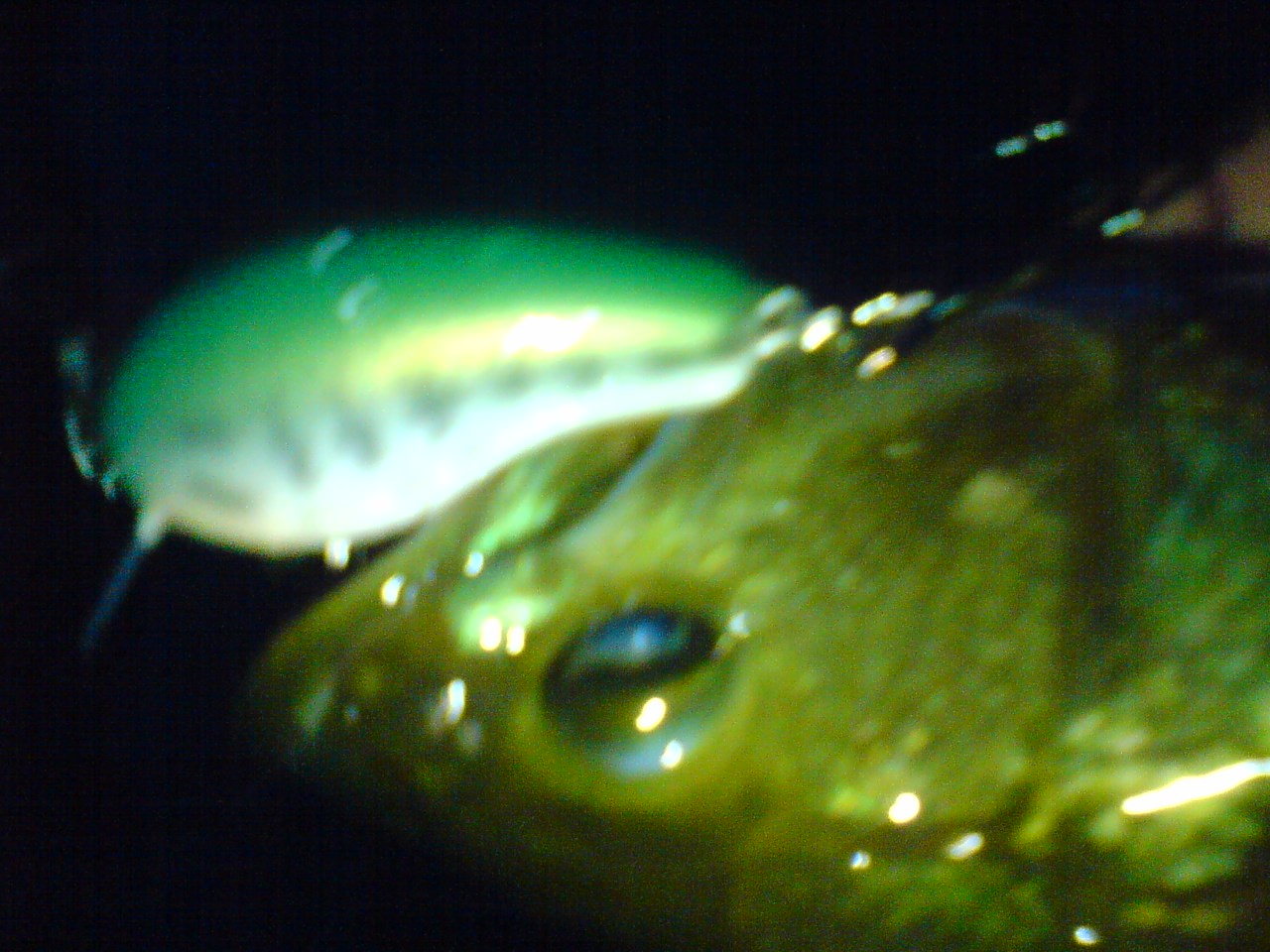 残業_a0040876_0455390.jpg