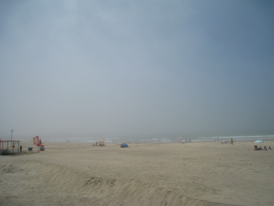 a0038882_8492978.jpg