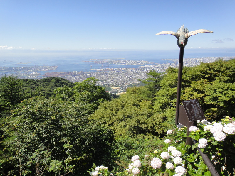2011/07/10 Mt.Rokko Outddor Session vol.3.5_b0220886_15175874.jpg